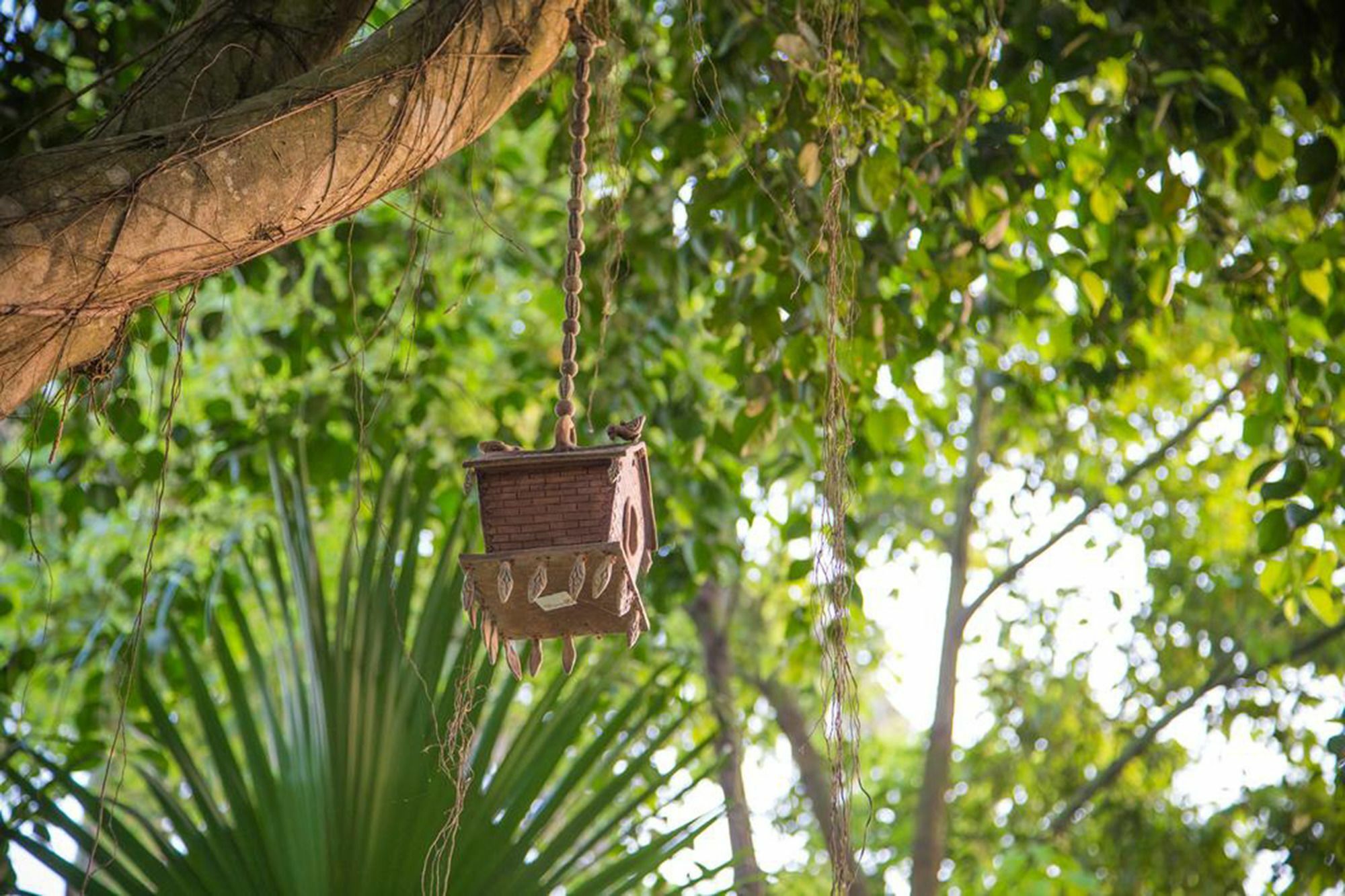 Chitwan Adventure Resort Sauraha Exterior photo